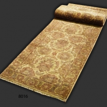 Agra Runner 8016