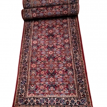 Agra Runner